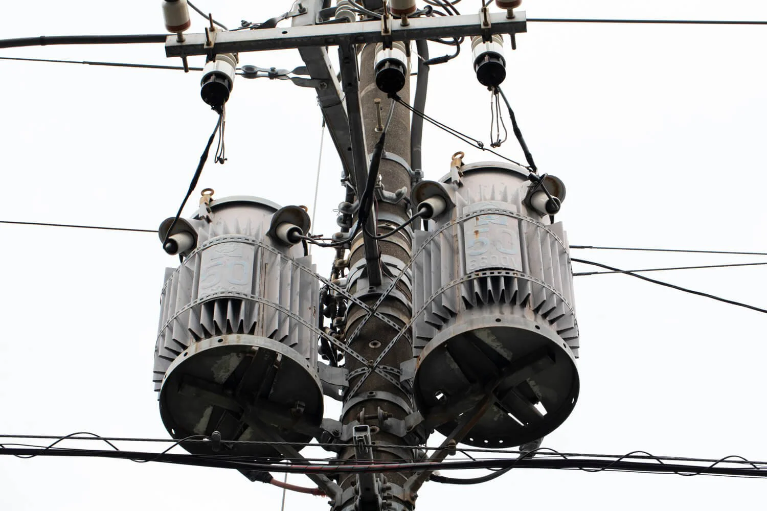 電線愛好家は上を向いて歩く~石山蓮華さんの電線観察ライフ~【散歩道