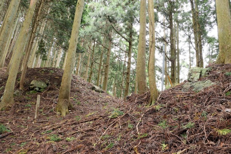 虎口の両側に、石積がはっきりと見てとれる。