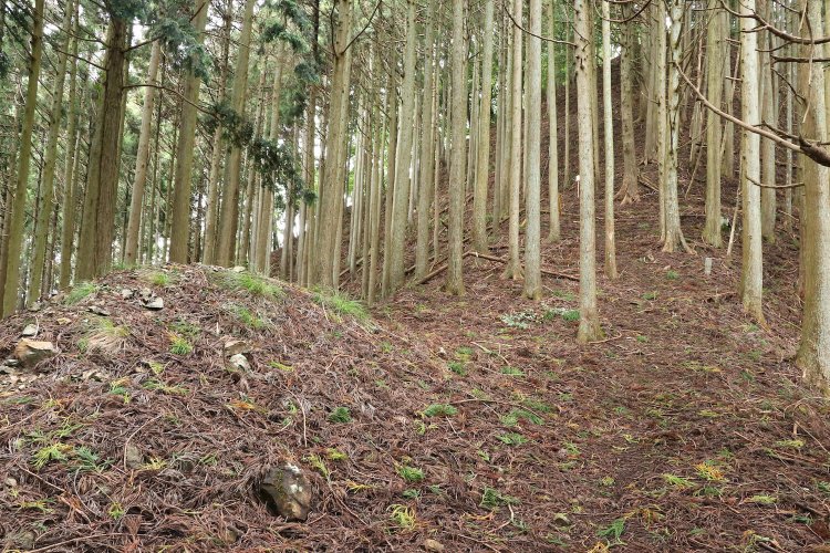 まだまだ道が続く。本丸は正面の山の上……。