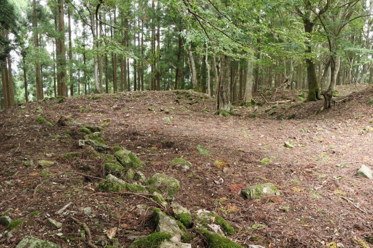 本丸西側の土塁。ここにも岩石が多用されている。