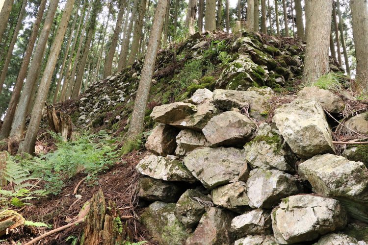 緩くカーブを描くように積まれた姿が美しい。