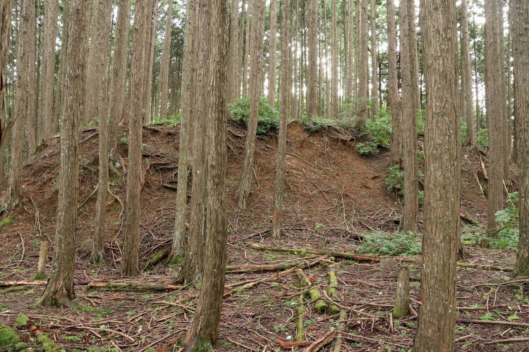 壁のように迫る北尾根の切岸。