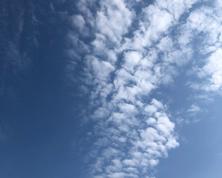 高い空に出る雲。小指で隠れるほどの小ささ。急な天気の崩れはない。