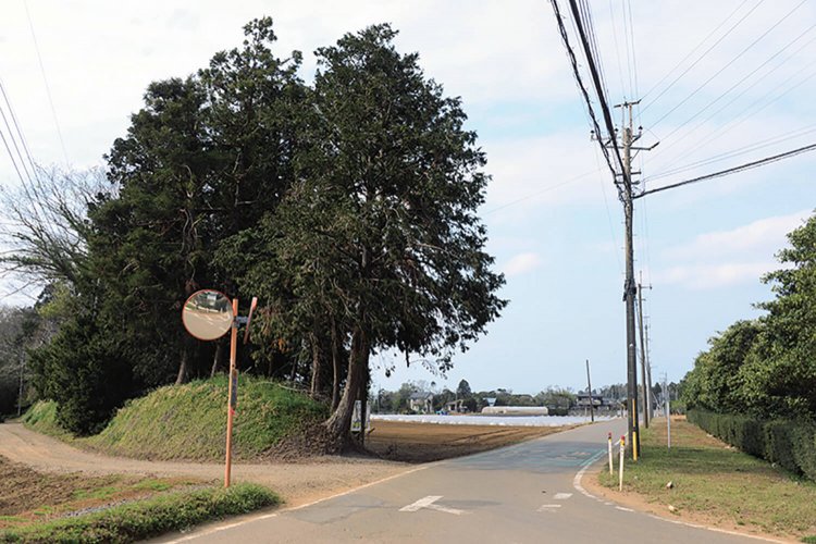 南小から南に向かう道の端に軌道跡が2㎞ほど残る。左は野馬土手。