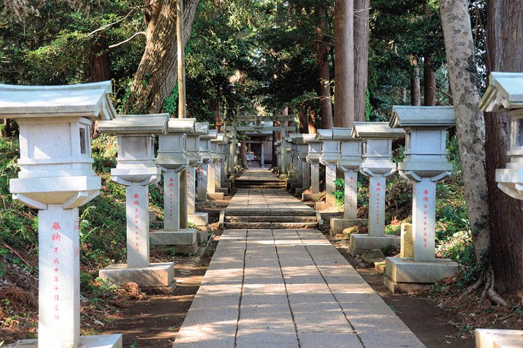 数十基の石灯籠が並ぶ参道の左側に、古墳がポコポコと並んでいる。