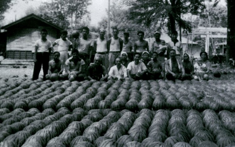 1950年代後半頃の風景。境内にスイカを集荷し都内に出荷していた。