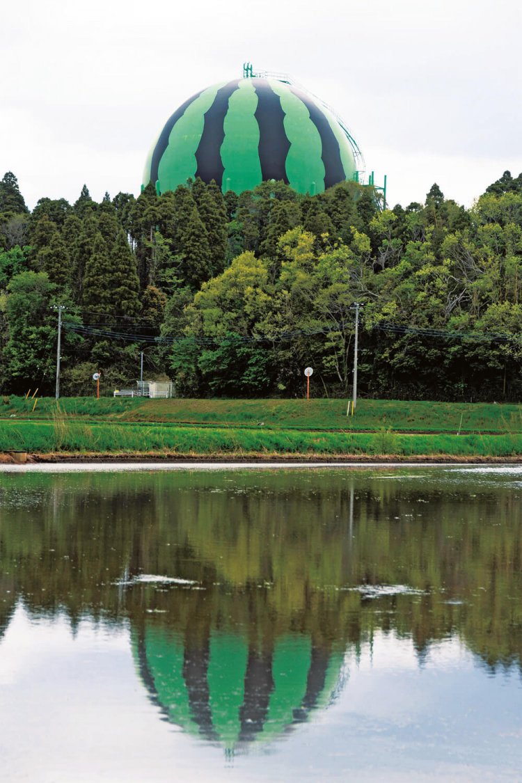 水田に水が張られた４月下旬、最後となった「逆さスイカ」を撮影