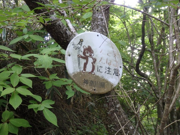 金時山（2017年）