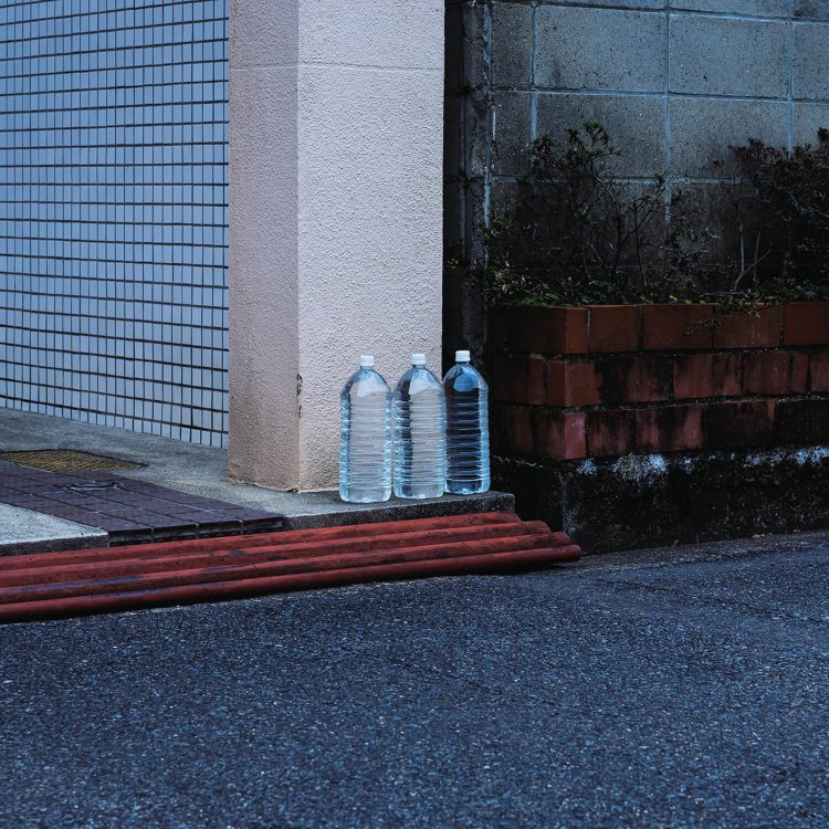 「ペッ景」内海慶一さん撮影。