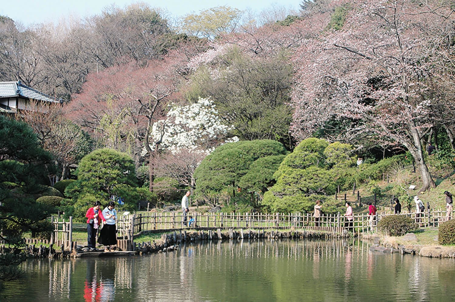 肥後細川庭園