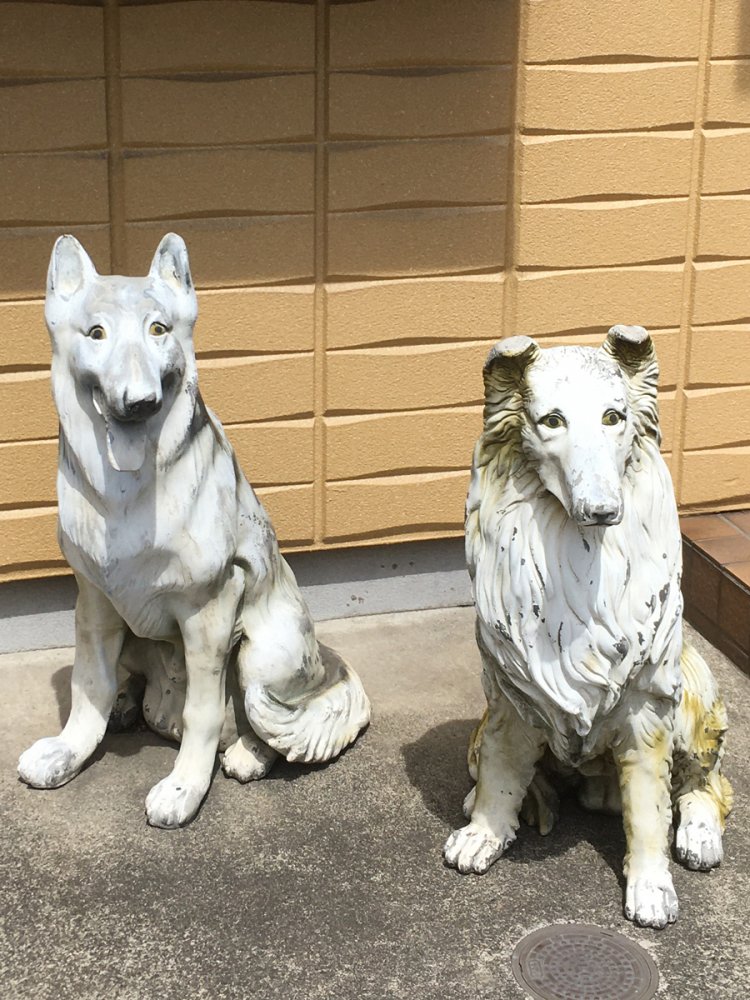 色あせた犬（2020年・稲田堤）