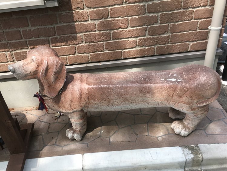 ベンチとして働くダックスフント（2020年・稲城）