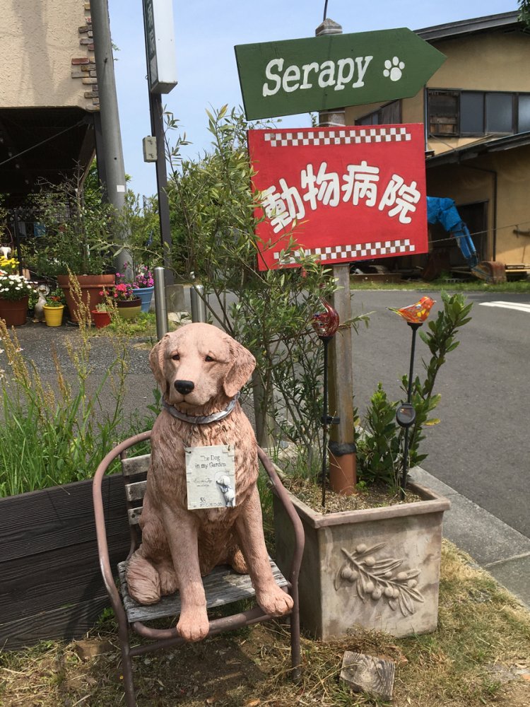 さまざまな動物がいる動物病院（2020年・若葉台）