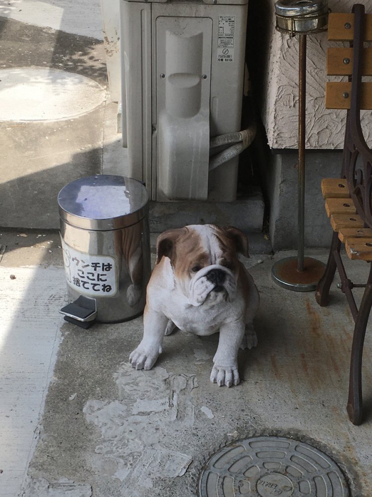 ブルドッグ（2020年・若葉台）