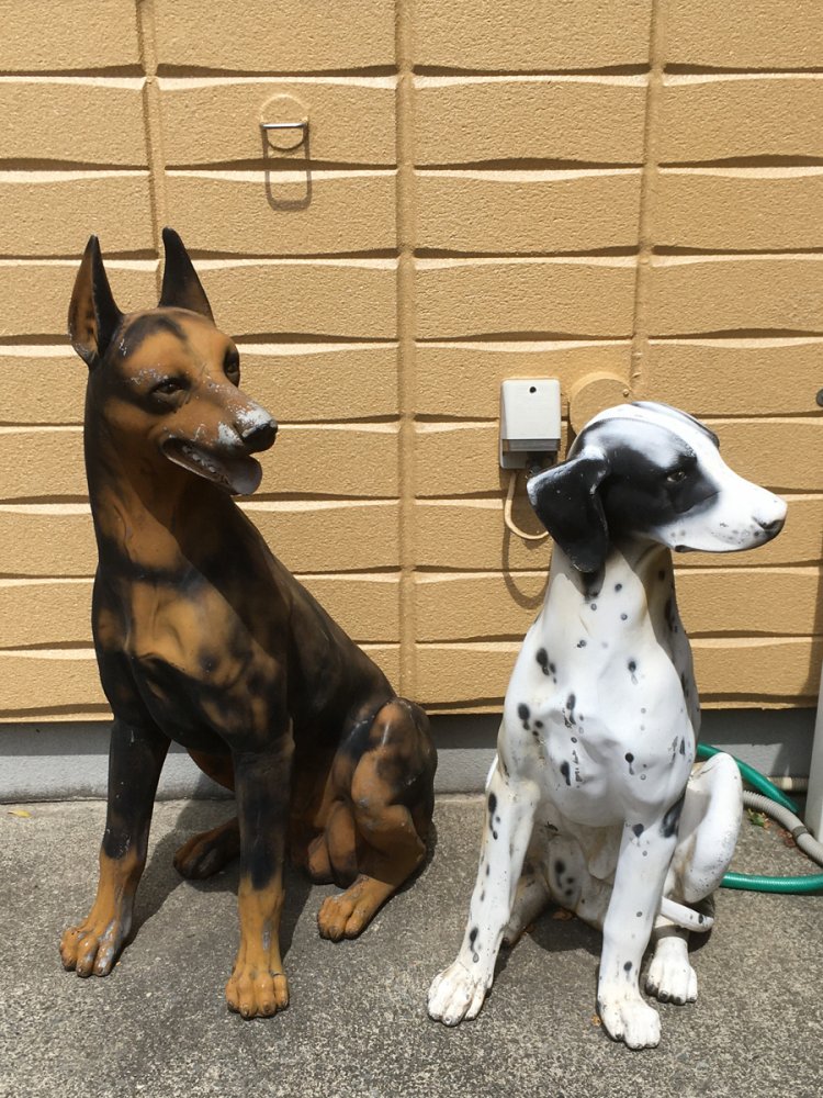 リアルな犬（2020年・稲田堤）