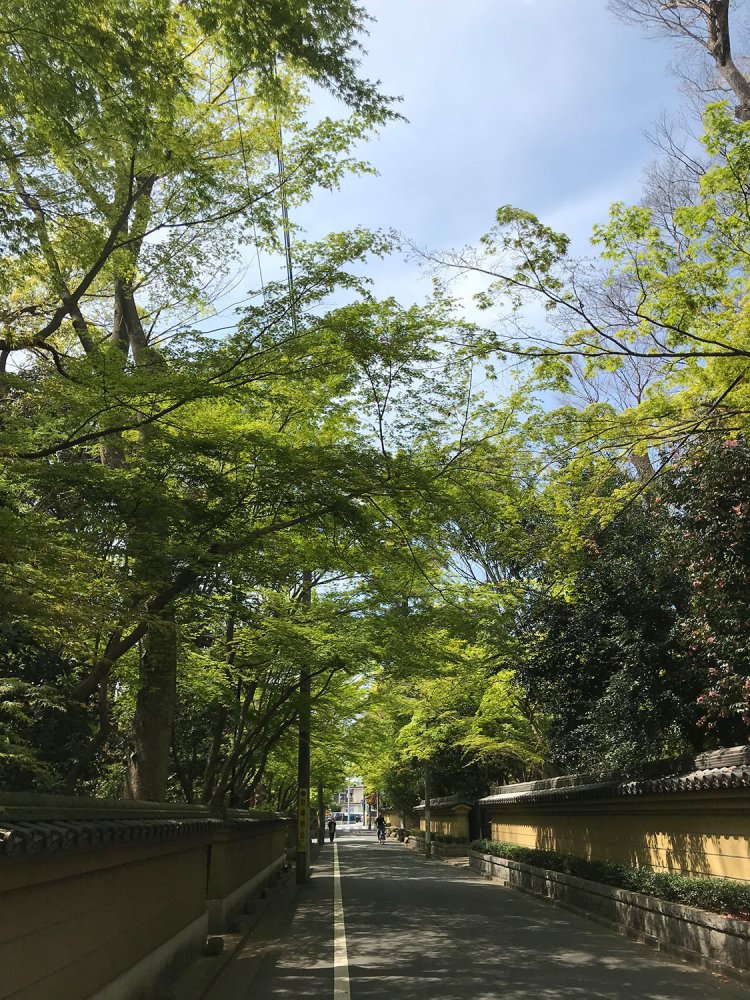 路地（のぶこさん）