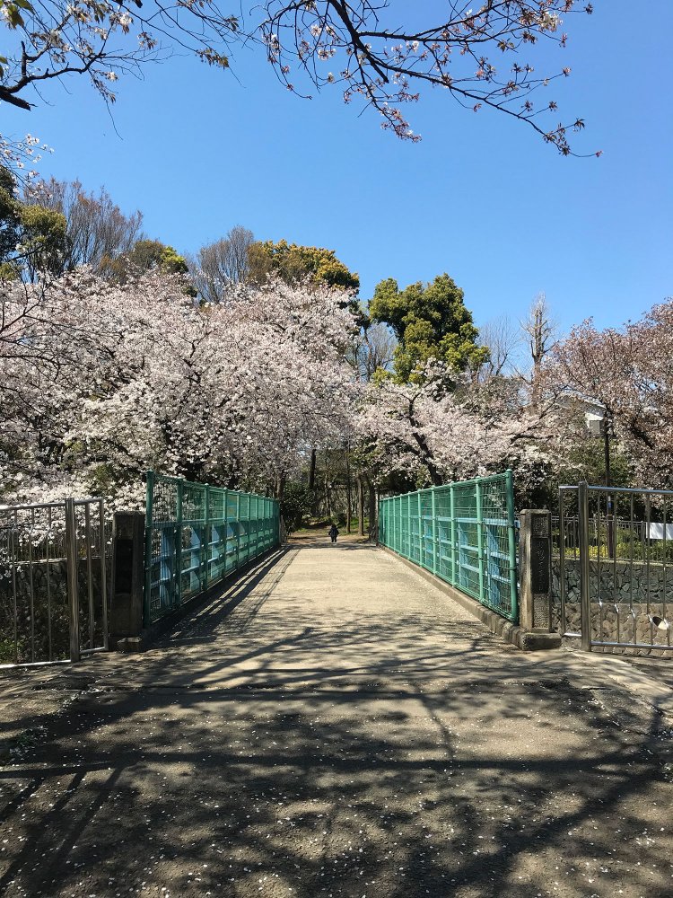 橋（chiroさん）