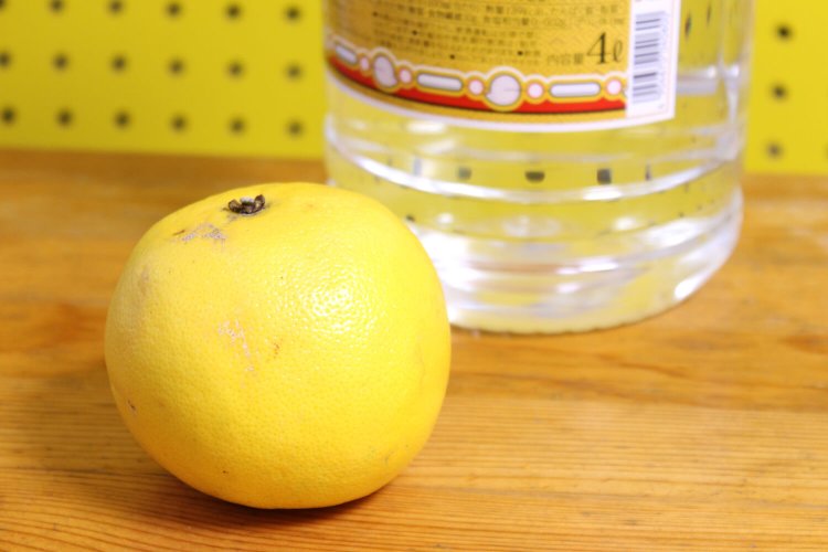 グレープフルーツと焼酎を凍らせるだけというのが簡単で良い。