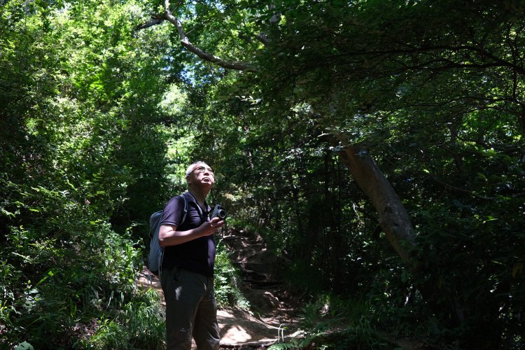 理想のカメラと散歩しよう ～第2回山さんぽ編～