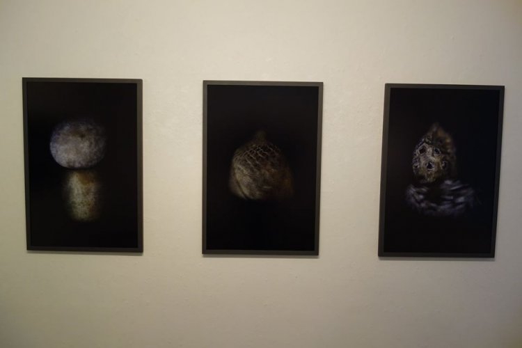 22日から始まった3階会場の風景。一番右の写真は一体……