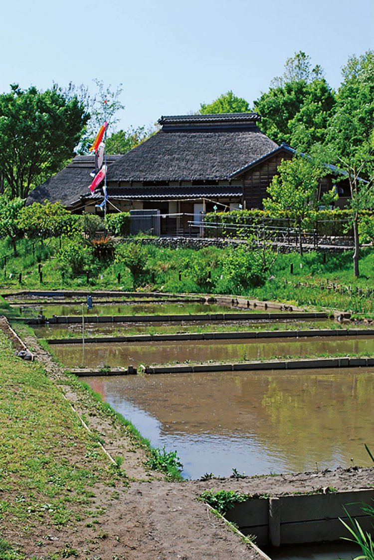 赤羽自然観察公園（あかばねしぜんかんさつこうえん）