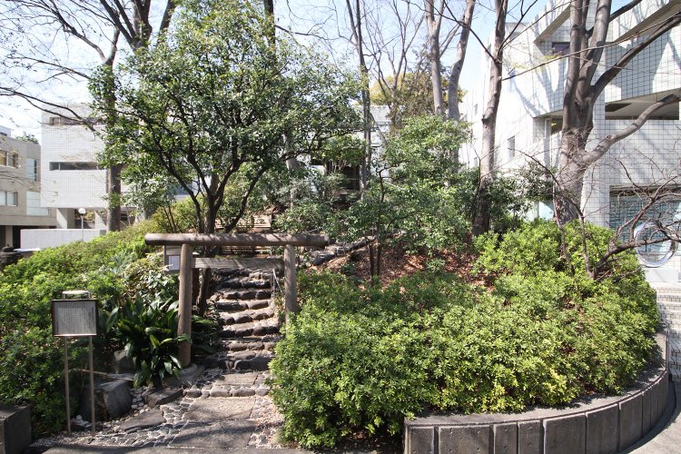 「ヒルサイドテラス」の敷地内には6～7世紀に造られた古墳、猿楽塚が現存。猿楽町の町名はこの塚が由来。