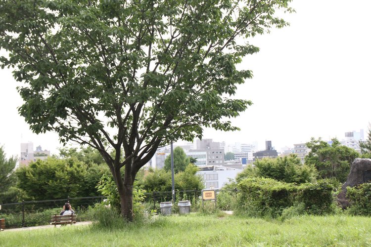 冬の快晴時は富士山も遠望できる西郷山公園。地元の人たちの憩いの場。