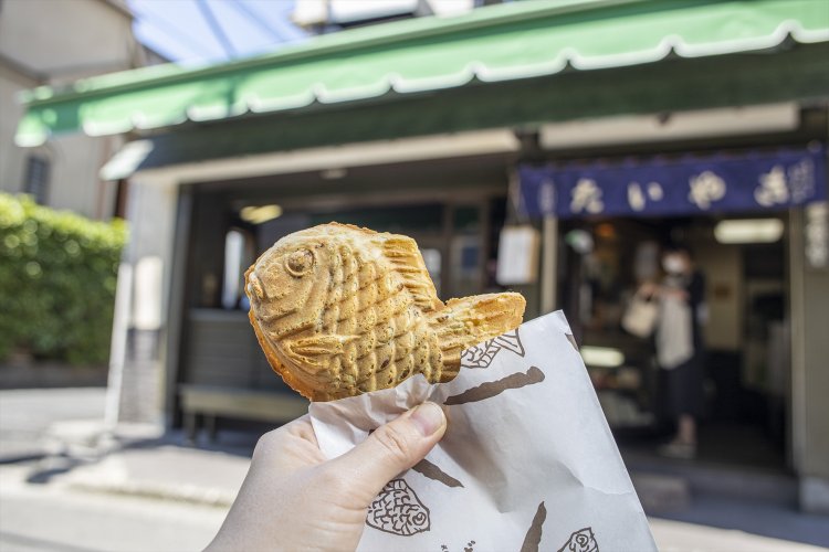 たいやき わかば