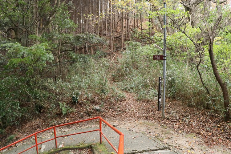 切通し。正面の急斜面の向こうが雌嶽。