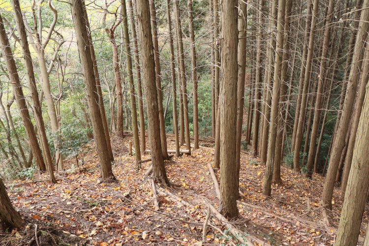 雌嶽上から急斜面下の切通しを見下ろす。