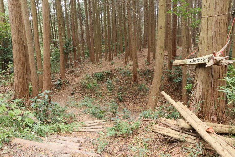 まずは幅2～3mある箱状の堀切の洗礼を浴びる。