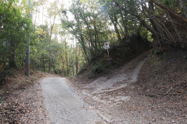 大谷池からの登城口。直進すると大谷池、右に登ると信貴山城。