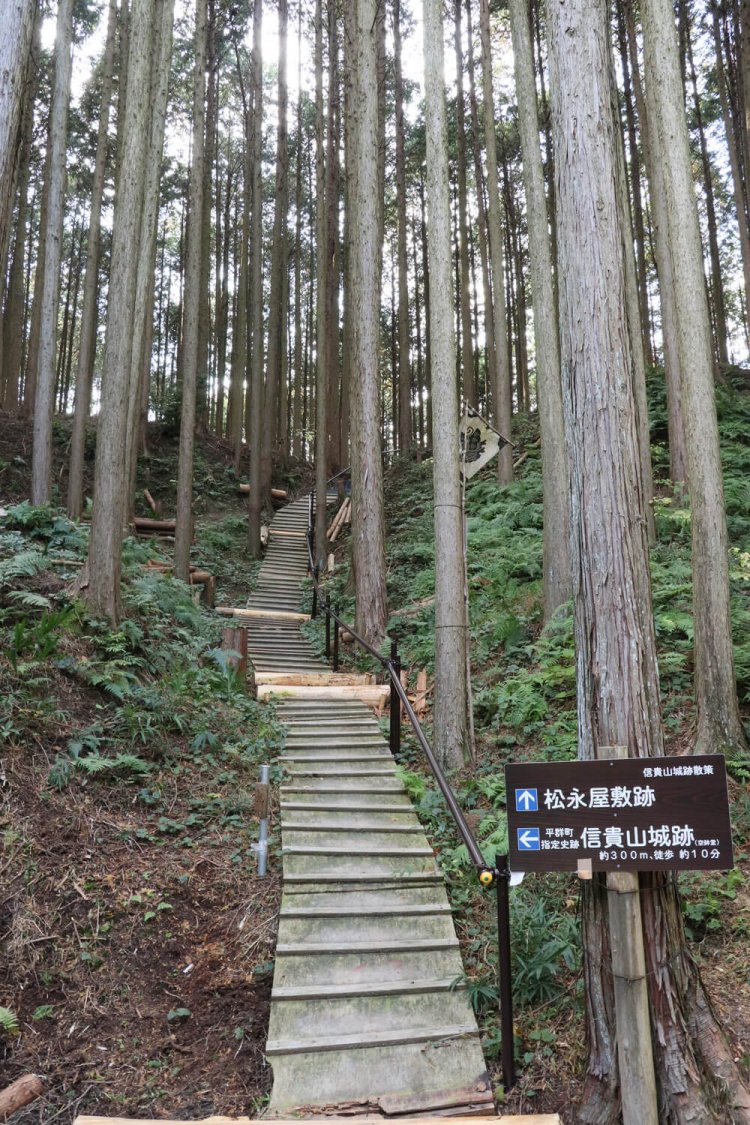 案内板前の急斜面。当時はここには木道はなかったはず。