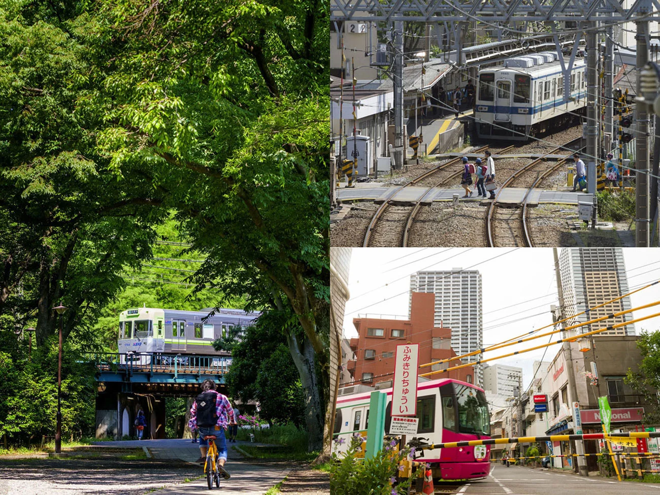 週末散歩にも 街の風景に溶けこんだ生活密着路線 東京のローカル線 を歩こう 東京さんぽ図鑑 さんたつ By 散歩の達人