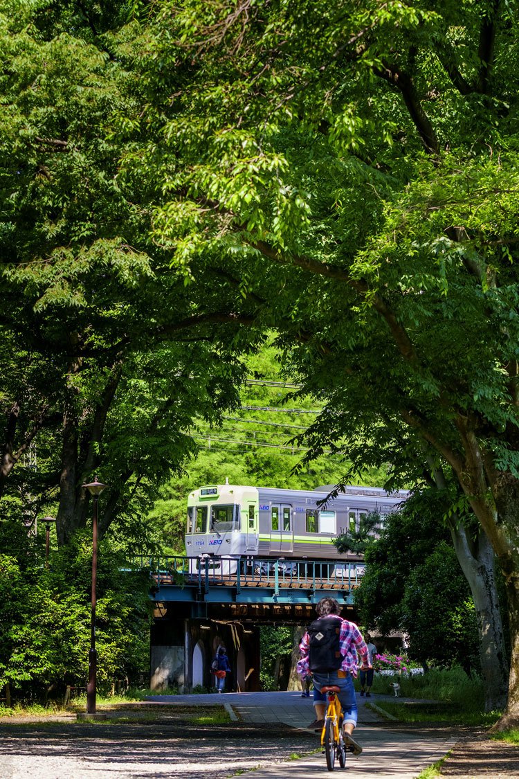 サクラや菜の花、アジサイなど、沿線の車窓から季節を感じられる。