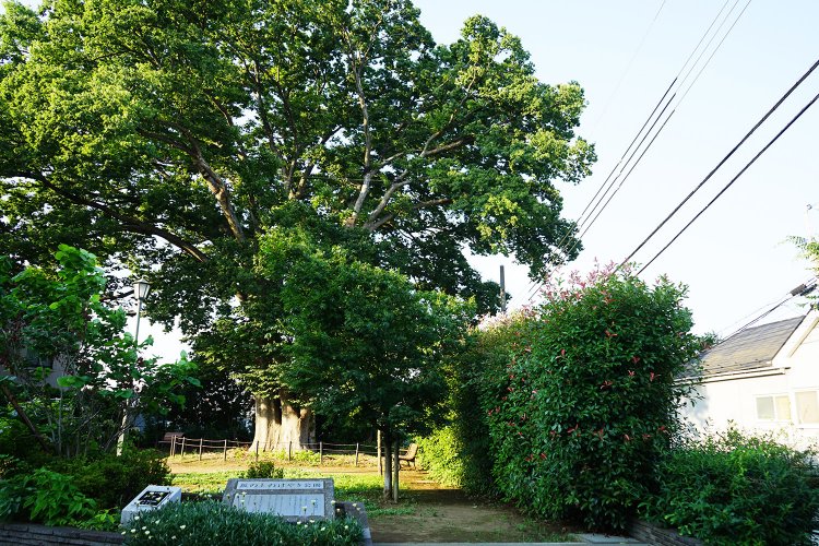 朝ドラさんぽ なつぞら