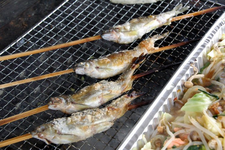 アユなど塩谷の食材でバーベキューも。アユはつかみどり体験可。