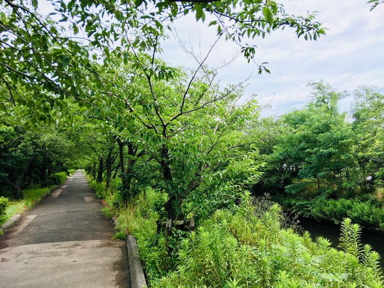 東京さんぽ図鑑スピンオフ