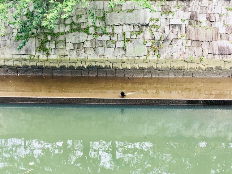 東京さんぽ図鑑スピンオフ