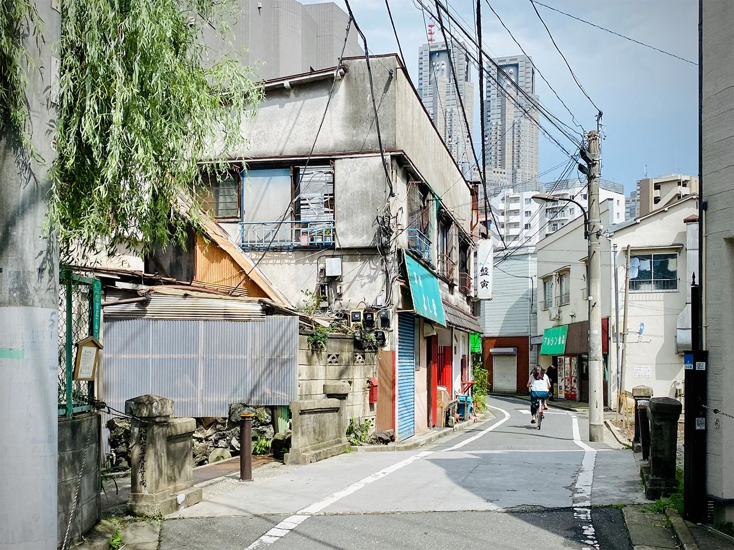 西新宿の街で 東京 を探してみた 東京さんぽ図鑑スピンオフ さんたつ By 散歩の達人