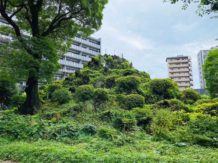 緑に覆われて本当の山みたい。麓には浅間神社も鎮座する。