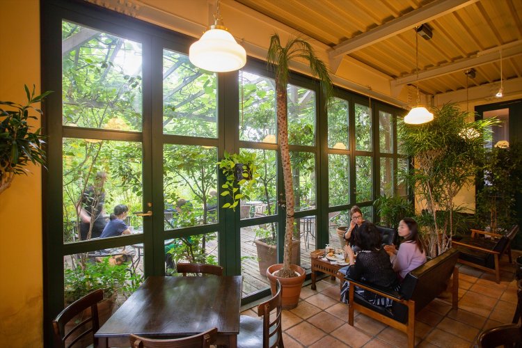 窓辺にソファを用意。ウッドデッキテラスの天井はキウイ棚。