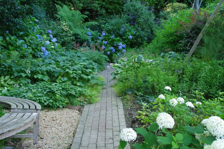 石窯ガーデンテラスIMGP5837'