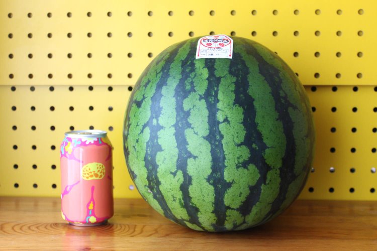 商店街のくだもの屋さんで、一番高級な大玉スイカを買ってきた。