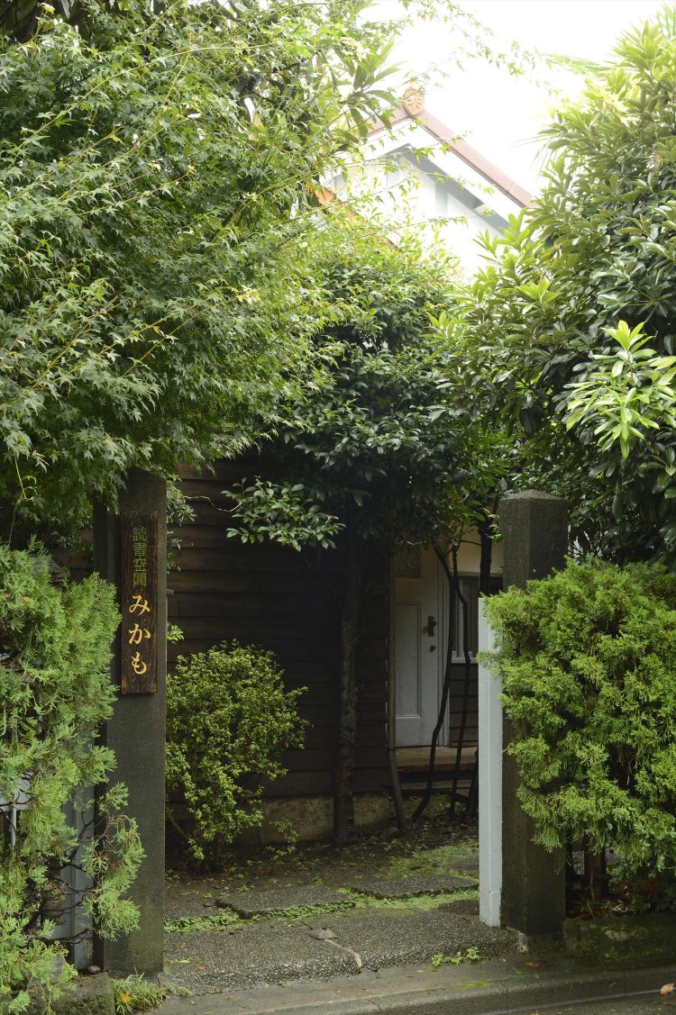 生い茂った庭の木々がお迎え。