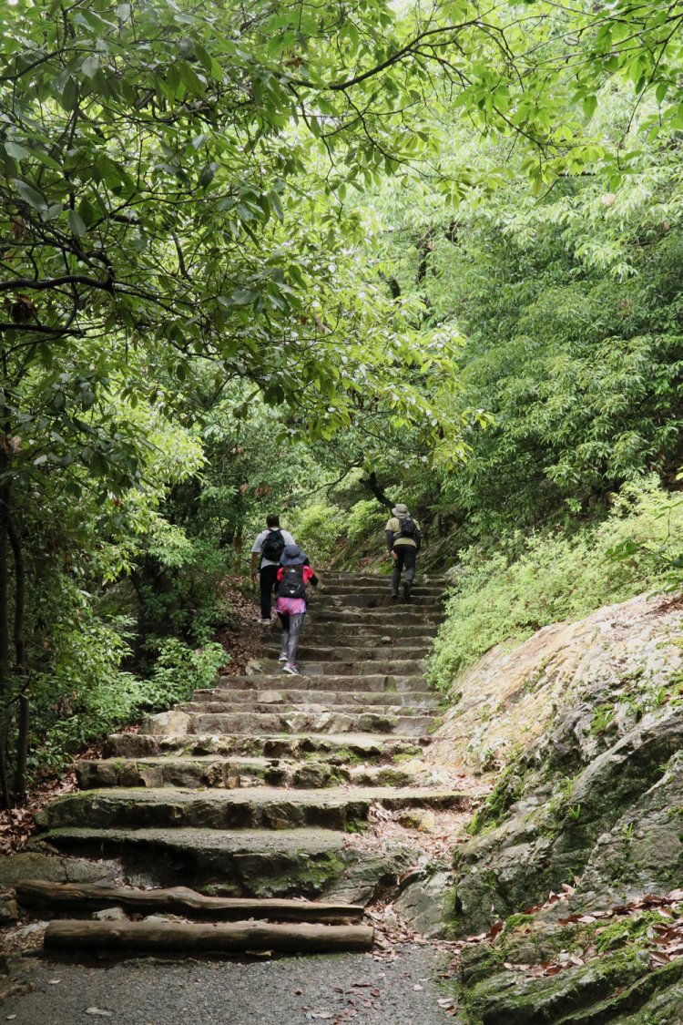 後半は徐々に勾配がきつくなってくる。