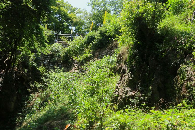 雑草の合間に石垣。晩秋～春先ならはっきり見えそう。