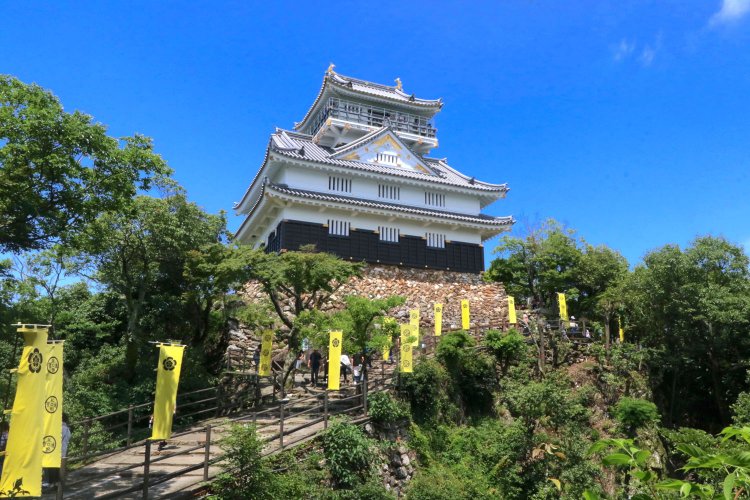 織田家の家紋と旗印ばかりがズラリ。斎藤家の栄華やいずこ……。