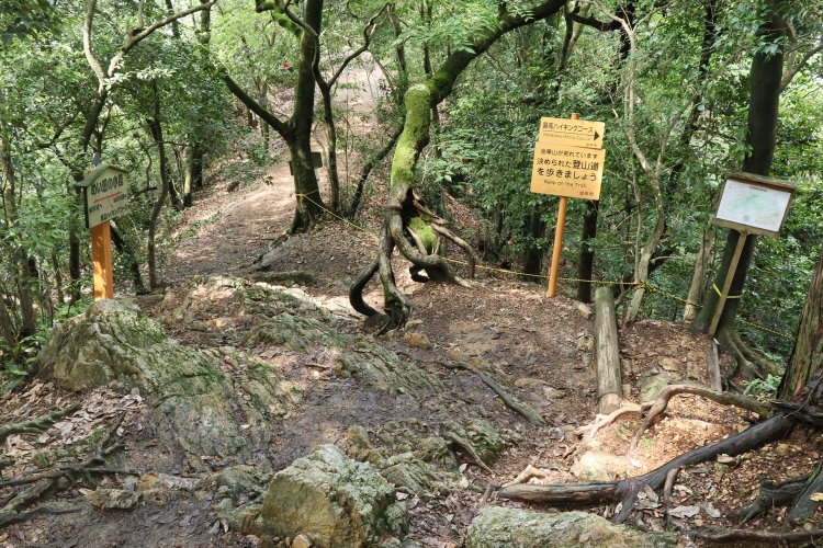 戦国の城を攻める ～明智光秀ゆかりの城・番外編　岐阜城～