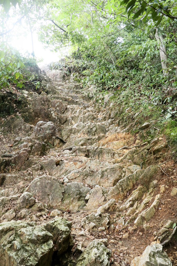 登山道、というよりほぼ岩。ただし階段上に削られている。